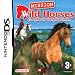 Real Adventures: Wild Horses (Nintendo DS)