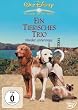 Ein tierisches Trio - Wieder unterwegs