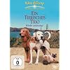 Ein tierisches Trio - Wieder unterwegs
