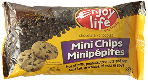 Enjoy Life Foods Semi-sweet Mini Chips, 12-count