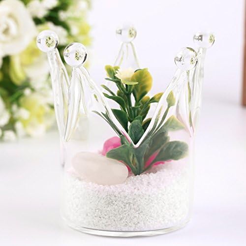 1Pc Glass Planter Flower Plant Vase Crown Shaped Hydroponic Container Candlestick