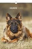 Hunde 2012. Kalender DIN A3 mit Ringbindung