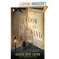 The Shadow of the Wind