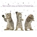 Little Wishes Tabby Cats Christmas Cards Pack