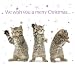 Little Wishes Tabby Cats Christmas Cards Pack