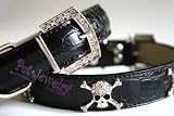 Dog Collar and Leash Set - 10-inch Swarovski Crystal Skull Dog Collars & leash set (black)
