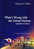 What's wrong with the United Nations and how to fix it