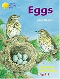 Oxford Reading Tree: Stages 8-11: Jackdaws: Pack 1 (6 Books, 1 of Each Title)