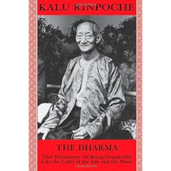 The Dharma: That Illuminates All Beings Like the Light of the Sun and the Moon