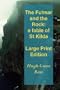 The Fulmar and the Rock (Large Print)