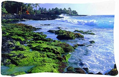 Microfiber Peach Standard Soft And Silky Decorative Pillow Case (20 * 26 Inch) - Landscapes Hawaii Island Landscape