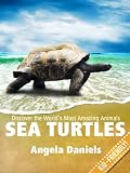 Sea Turtles - Beautiful, Real Photos and Fun Sea Turtle Facts for Kids (Discover the Worlds Most Amazing Animals Series)