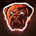 NFL Cleveland Browns LED Light-Up Logo Adjustable Hat
