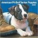 American Pit Bull Terrier Puppies 2009 Wall Calendar