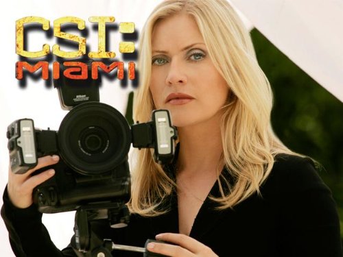The Best CSI Miami Episodes Season 6 Crowdranking