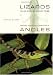 Lizards in an Evolutionary Tree: Ecology and Adaptive Radiation of Anoles (Organisms and Environments)