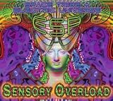 ESP-Sensory Overload