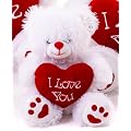 14" (36cm) White Teddy Bear Holding a Red heart with "I Love You" inscribed on it