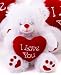 10" (25cm) White Teddy Bear Holding a Red heart with "I Love You" inscribed on it