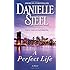 A Perfect Life: A Novel