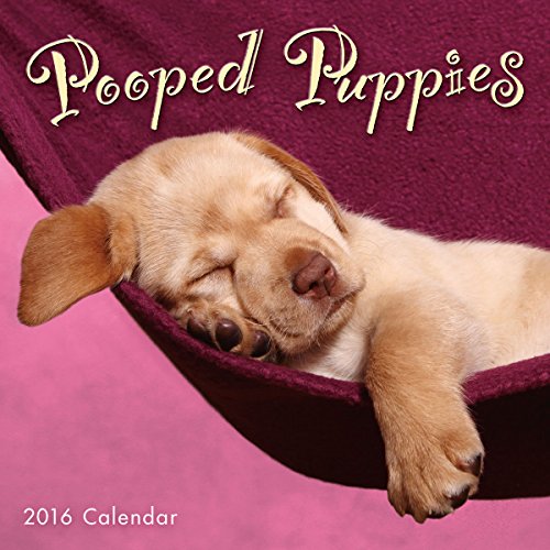 Pooped Puppies 2016 Mini Calendar, by Sellers Publishing