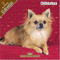 Chihuahua 2008 Wall Calendar