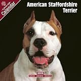 Eigenschaften Avonside Publishing Ltd.  / Kalender 2009 American Staffordshire Terrier