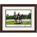 University of Texas, Austin Alumnus Framed Lithograph