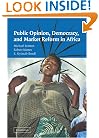 Public Opinion, Democracy, and Market Reform in Africa (Cambridge Studies in Comparative Politics)