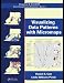 Visualizing Data Patterns with Micromaps (Chapman & Hall/CRC Interdisciplinary Statistics Series)