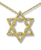 Jewelry : Scalloped Star of David Pendant