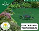 LazyMan Lawn Dethatcher