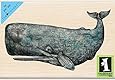 Inkadinkado Tim Coffey Wood Stamp, Sperm Whale