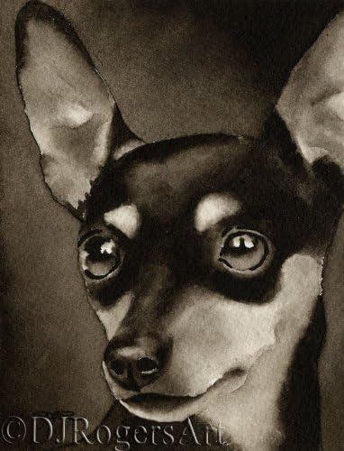 Miniature Pinscher Sepia Watercolor Art Print by Artist DJ Rogers