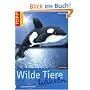 Wilde Tiere häkeln: Gefährlich kuschelig