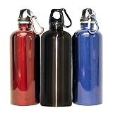 Tinted Stainless Steel Water Bottle - Ruby