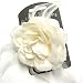 Large Cream Glitter Edge Rose Flower Hair Elastic Beak Clip Fascinator