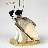 Jack Russell Rgh Coat Blk/Wht Angel