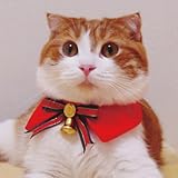 キャットプリン お嬢様<strong>ブラウス</strong> パーティベル