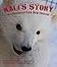 Kali's Story: An Orphaned Polar Bear Rescue