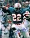 Mercury Morris Autographed/Hand Signed Miami Dolphins 8x10 Photo with 17-0 (Pose 1)