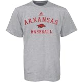 Adidas Arkansas Razorbacks Ash Baseball Practice T-shirt