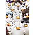 銀魂’ 09(完全生産限定版) [DVD]