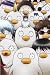 �亲�� 09(��������������) [DVD]