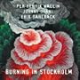 Burning In Stockholm (1981)