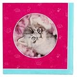 Rachel Hale Glamour Cats Napkins (16) Party Supplies