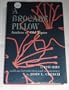 A Brocade Pillow: Azaleas of Old Japan