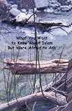 What You Want to Know About Islam But Were Afraid to Ask