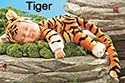 Anne Geddes Furry Friends Tiger (9" X 8")