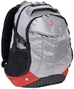 SwissGear Computer Backpack (Gray/Red)